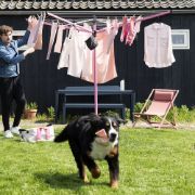 Снимка на Външен простор Brabantia Lift-O-Matic 50m, метален шип за вкопаване, калъф и торба с щипки, Spring Pink